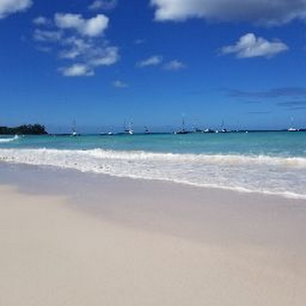 Meet your Posher, Roger